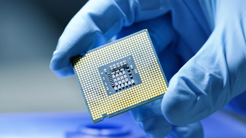 microchip.jpg